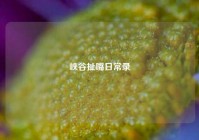 峡谷扯嘴日常录