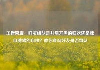 王者荣耀，好友组队是并肩开黑的狂欢还是独自驰骋的自由？教你查询好友是否组队