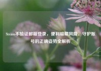 Steam不验证邮箱登录，便利暗藏风险，守护账号的正确姿势全解析