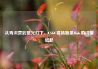 从青训营到聚光灯下，CSGO赛场新星Mole的闪耀崛起