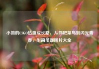 小简的CSGO热血成长路，从网吧菜鸟到闪光青春，附简笔画图片大全
