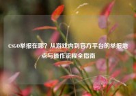 CSGO举报在哪？从游戏内到官方平台的举报地点与操作流程全指南