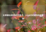 从草根玩家到战术鬼才，CSGO小灰灰的民间传奇