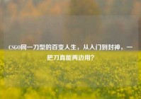 CSGO同一刀型的百变人生，从入门到封神，一把刀真能两边用？