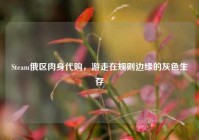 Steam俄区肉身代购，游走在规则边缘的灰色生存