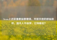 Steam上这款像素仙雾缭绕、开放天地的修仙游戏，圆凡人升仙梦，它叫啥名？