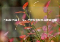 PUBG紫色箱子一览，空投里的惊喜与青春回响