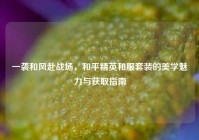 一袭和风赴战场，和平精英和服套装的美学魅力与获取指南