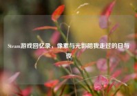 Steam游戏回忆录，像素与光影陪我走过的日与夜