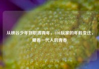 从峡谷少年到职场青年，LOL玩家的年龄变迁，藏着一代人的青春