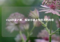 CSGO沙漠之鹰，炼狱小镇上空的不朽传奇