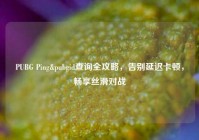 PUBG Ping&pubgid查询全攻略，告别延迟卡顿，畅享丝滑对战