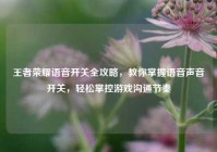 王者荣耀语音开关全攻略，教你掌握语音声音开关，轻松掌控游戏沟通节奏