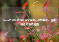 Steam市场与商店退款全攻略，规则解析、流程指引及避坑指南
