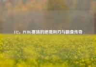 112，PUBG赛场的绝境利刃与翻盘传奇
