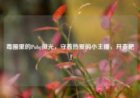 毒圈里的Pubg微光，守着热爱的小主播，开麦吧！
