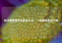 和平精英单字ID起名大全，一字撑起全场气场
