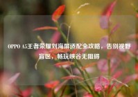 OPPO A5王者荣耀刘海屏适配全攻略，告别视野盲区，畅玩峡谷无阻碍