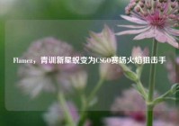 Flamez，青训新星蜕变为CSGO赛场火焰狙击手