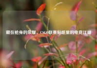 藏在枪身的荣耀，CSGO联赛贴纸里的电竞江湖