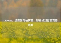 CSGO863，烟雾弹与枪声里，那些被封存的青春碎片