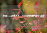 警惕Steam最新黑号，风险陷阱解析与防护指南
