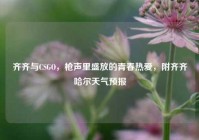 齐齐与CSGO，枪声里盛放的青春热爱，附齐齐哈尔天气预报