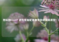 想玩转CS:GO？这些电脑配置要求你必须搞清楚！