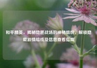 和平精英，揭秘隐匿战场的神秘组织，解锁隐藏剧情暗线及信息查看指南
