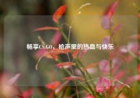 畅享CS:GO，枪声里的热血与快乐