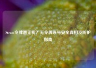 Steam令牌遭无视？无令牌账号安全真相及防护指南
