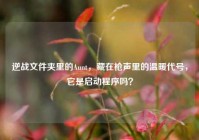 逆战文件夹里的Aunt，藏在枪声里的温暖代号，它是启动程序吗？