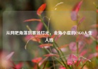 从网吧角落到赛场灯光，金角小虞的CSGO人生入戏
