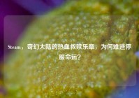 Steam，奇幻大陆的热血救赎乐章，为何难逃停服命运？