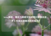 Steam漫游，魔法与策略交织的奇幻帝国征途，术士究竟扮演着怎样的角色？