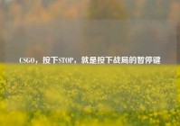 CSGO，按下STOP，就是按下战局的暂停键