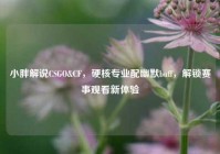 小胖解说CSGO&CF，硬核专业配幽默buff，解锁赛事观看新体验