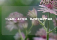 CSGO五排，不止组队，是战场专属战术编队