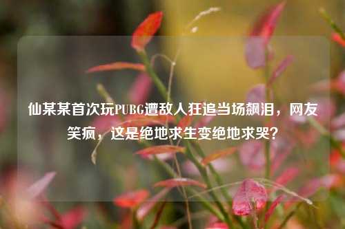 仙某某首次玩PUBG遭敌人狂追当场飙泪，网友笑疯，这是绝地求生变绝地求哭？