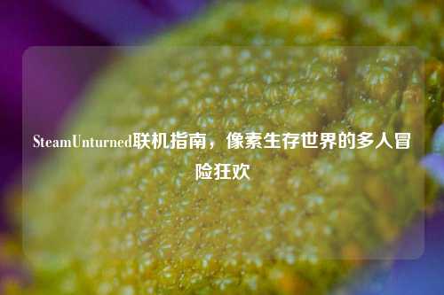 SteamUnturned联机指南，像素生存世界的多人冒险狂欢