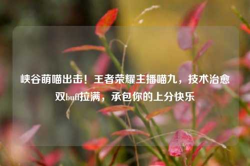 峡谷萌喵出击！王者荣耀主播喵九，技术治愈双buff拉满，承包你的上分快乐