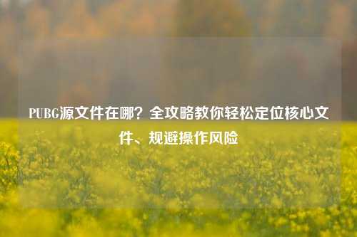 PUBG源文件在哪？全攻略教你轻松定位核心文件、规避操作风险