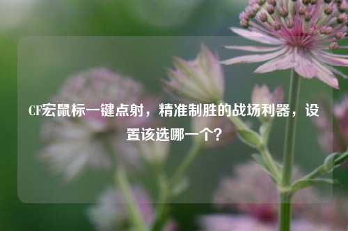 CF宏鼠标一键点射，精准制胜的战场利器，设置该选哪一个？