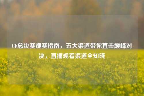 CF总决赛观赛指南，五大渠道带你直击巅峰对决，直播观看渠道全知晓