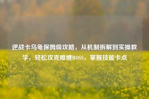 逆战卡乌龟保姆级攻略，从机制拆解到实操教学，轻松攻克难缠BOSS，掌握技能卡点