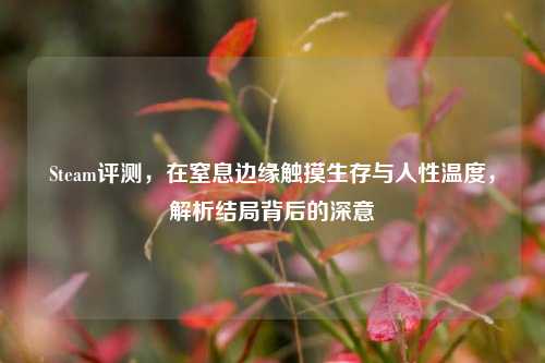 Steam评测，在窒息边缘触摸生存与人性温度，解析结局背后的深意