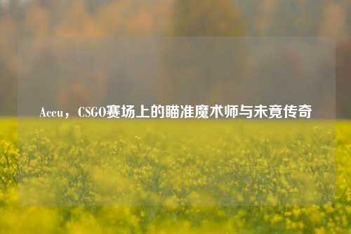 Aceu，CSGO赛场上的瞄准魔术师与未竟传奇