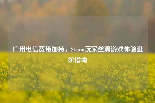 广州电信宽带加持，Steam玩家丝滑游戏体验进阶指南