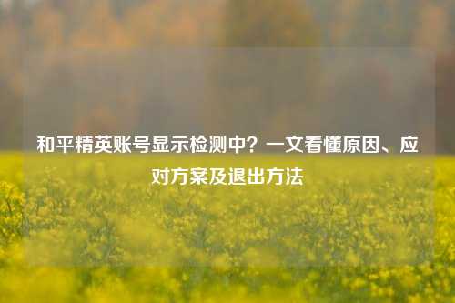 和平精英账号显示检测中？一文看懂原因、应对方案及退出方法