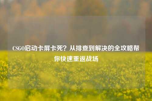CSGO启动卡屏卡死？从排查到解决的全攻略帮你快速重返战场